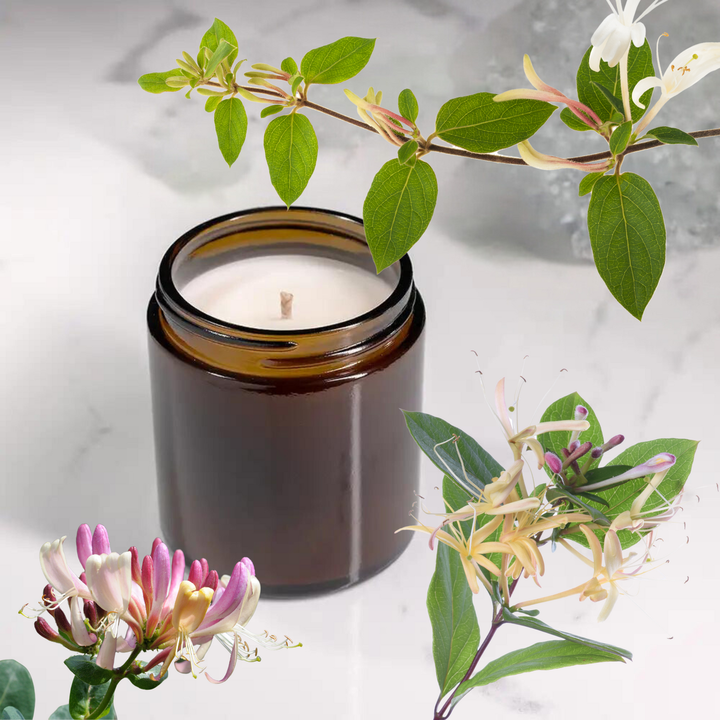 Japanese Honeysuckle scented candle